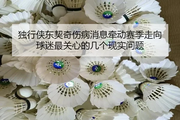 独行侠东契奇伤病消息牵动赛季走向 球迷最关心的几个现实问题
